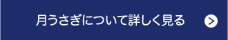 月うさぎについて詳しく見る